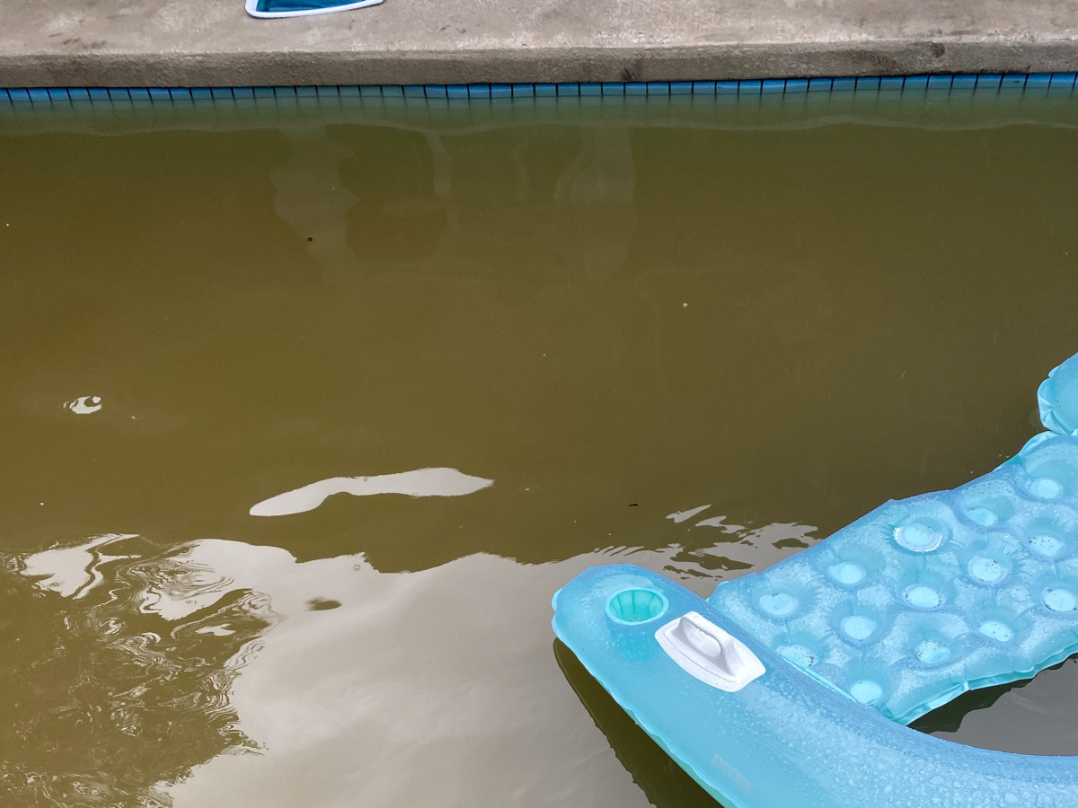 What to do with brown pool in Oahu