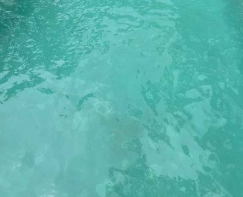 Cloudy pool water after heavy rain in Oahu showing reduced visibility and debris buildup