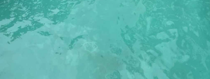 Cloudy pool water after heavy rain in Oahu showing reduced visibility and debris buildup