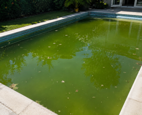 swimming pool with algae oahu